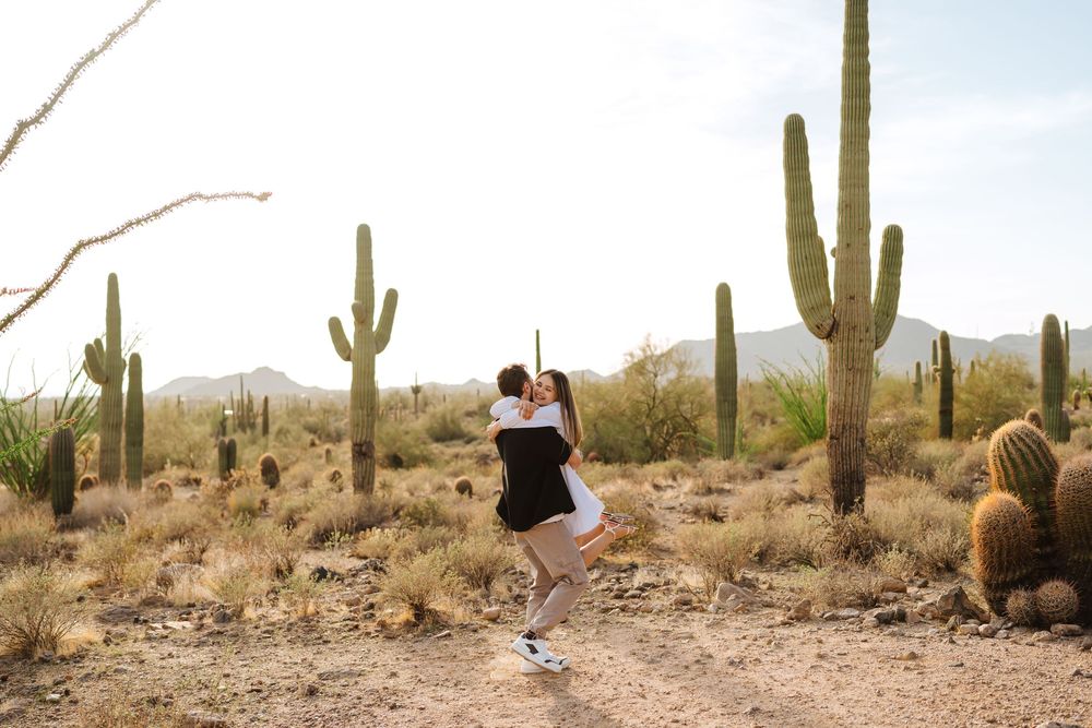 Panoramic desert landscape with tall saguaro cacti scattered across arid terrain against a cloudy sky.