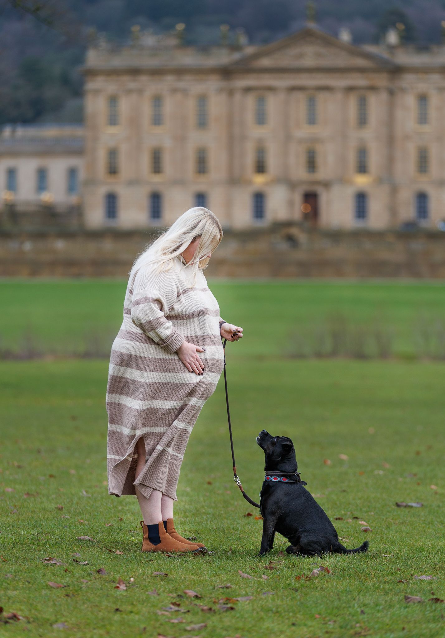 A person in a light-colored coat trains a small black dog on a grassy lawn with a stately mansion in the background.