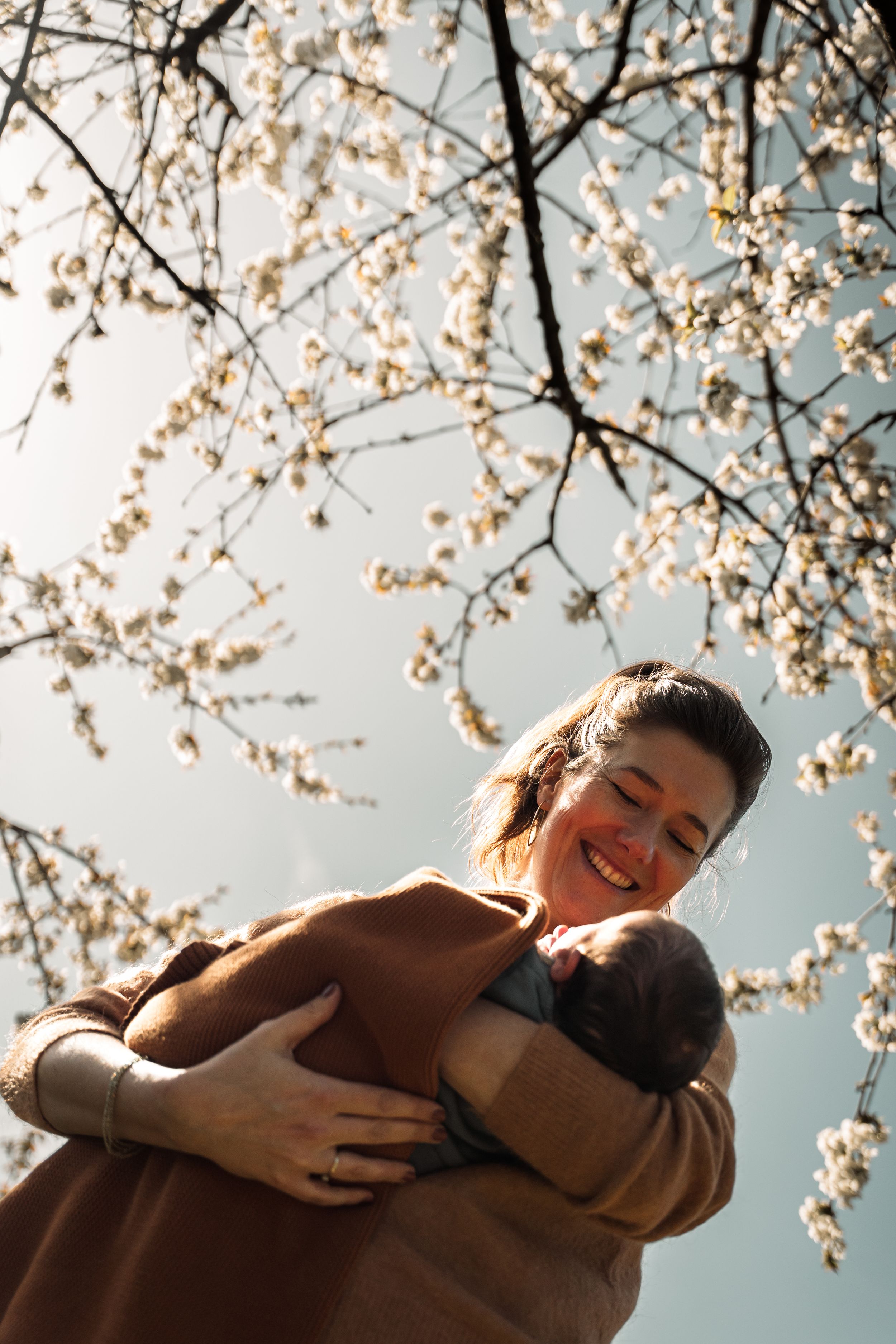 A tender embrace under blooming cherry blossoms against a bright spring sky.