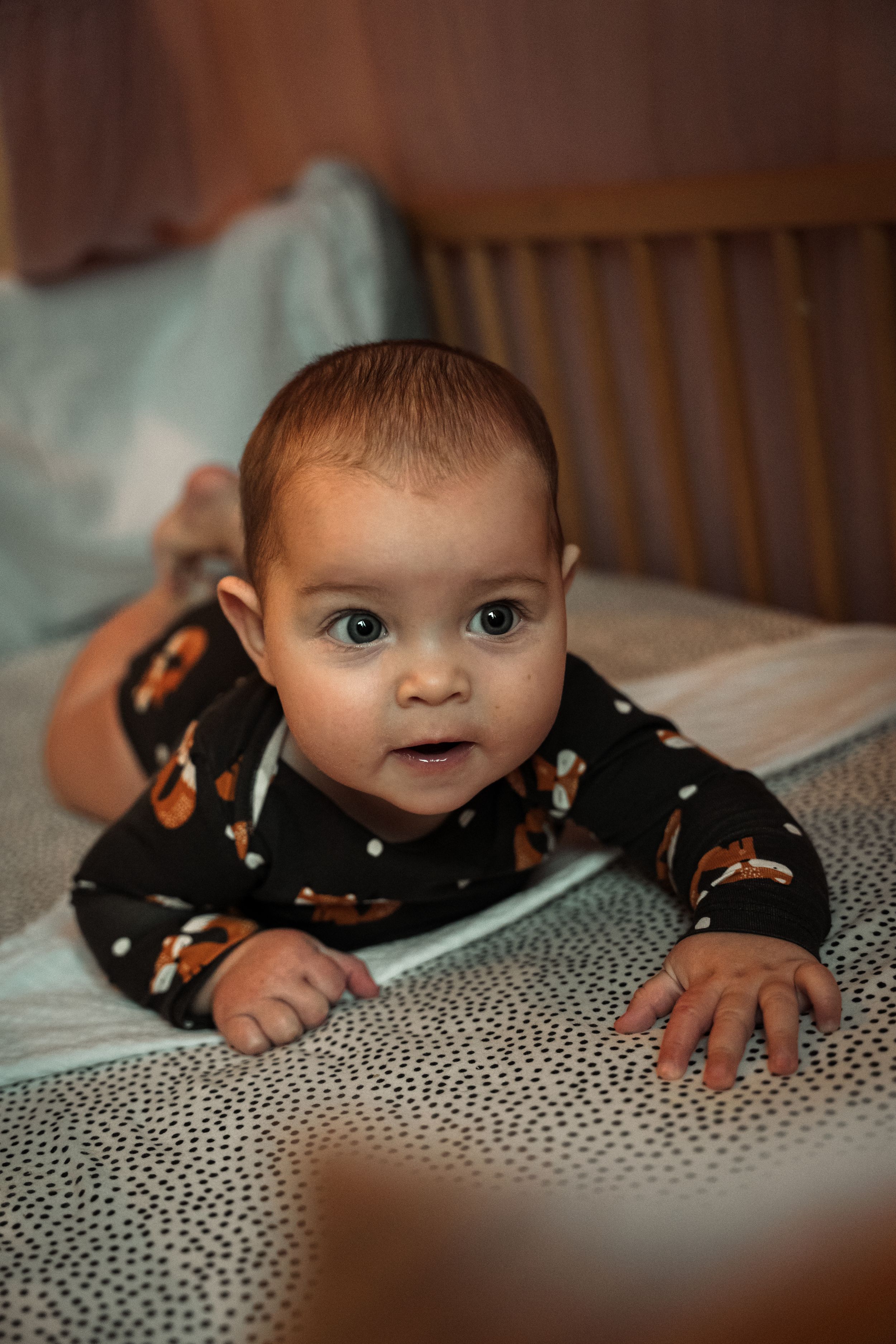 Baby wearing black and orange outfit crawls on polka dot blanket while looking up at camera.