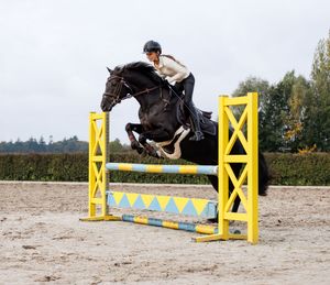 Actiefoto van springpony over de hindernis
