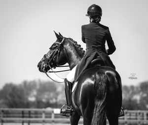 Zwart wit foto paard en ruiter dressuur