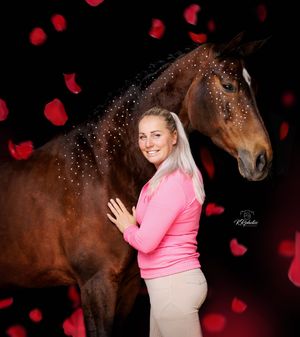 Blackfoto paard Valentijnsdag
