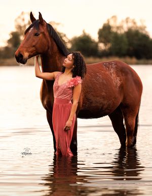 Woman in pink dress stands with brown horse in water at golden sunset.