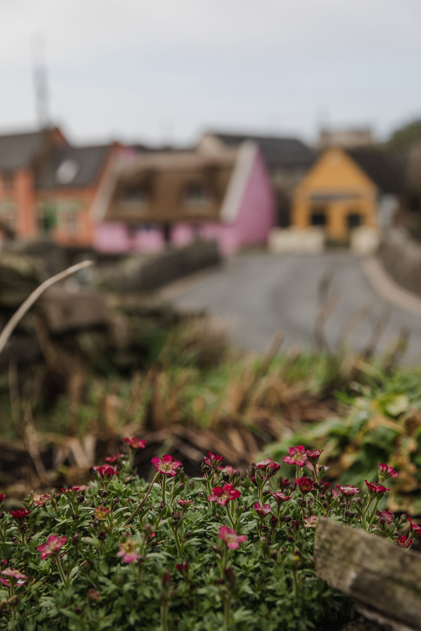 Colourful cottages in Doolin