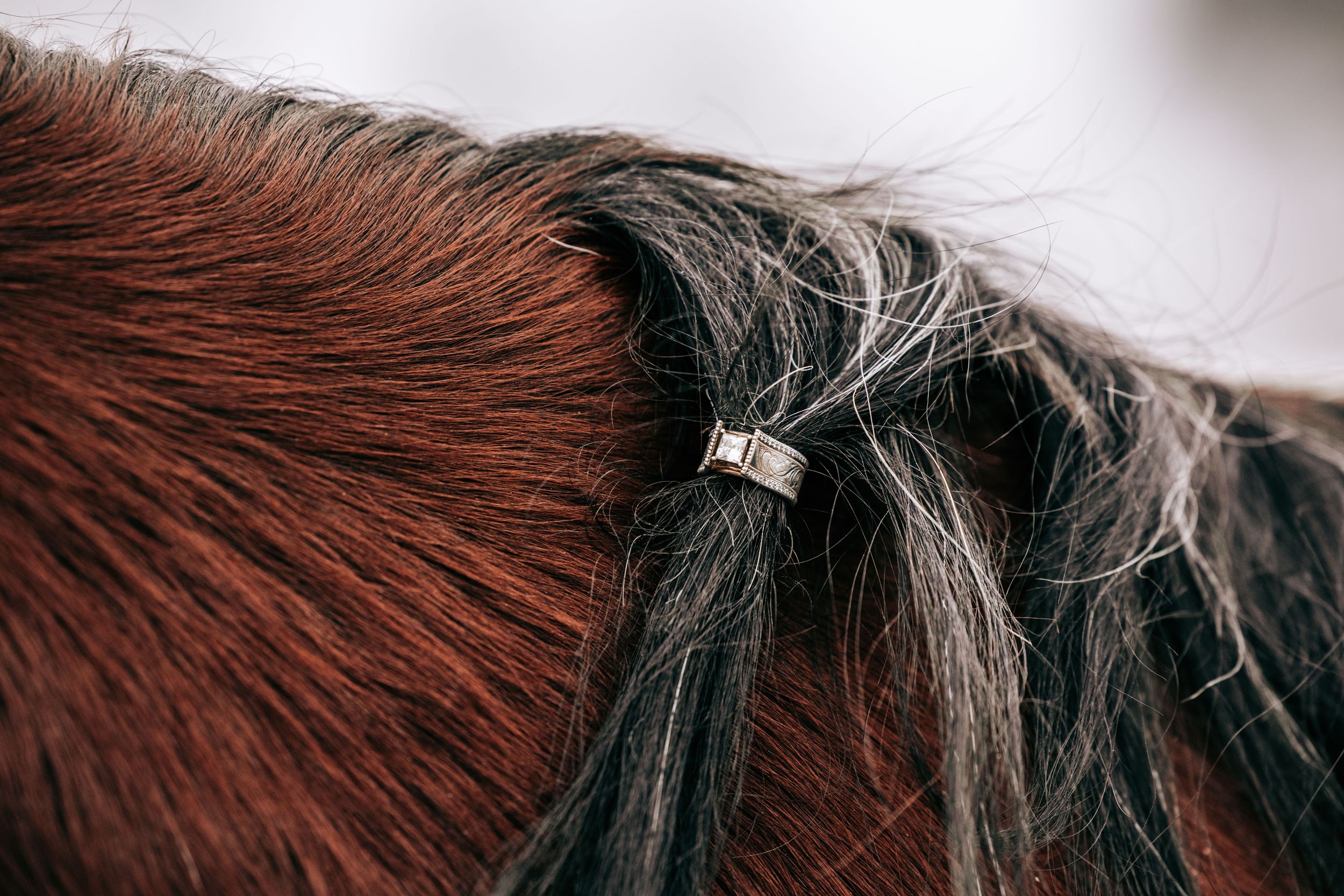 Western engagement ring in a horse's mane. Engagement photography in Cle Elum, WA