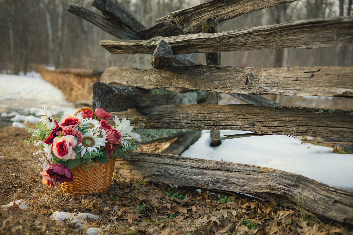 Spring picnic photography setup with blankets, baskets, and soft floral accents for a mini sessions in Manassas and Culpeper, Virginia.