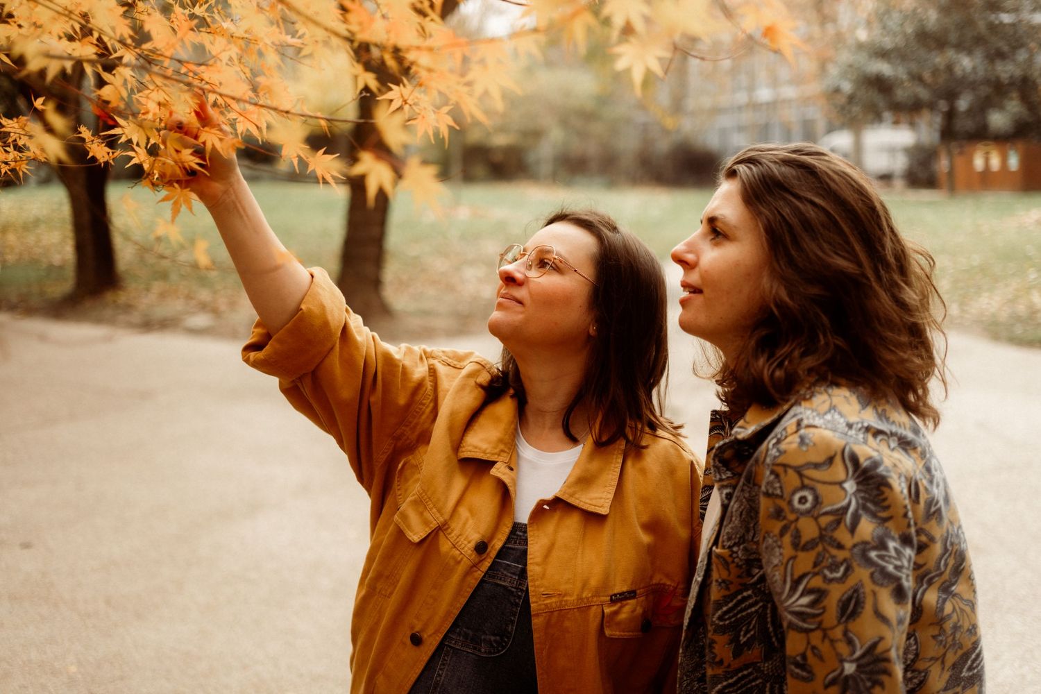 Two friends in autumn jackets reach up to touch fall foliage on a path during golden hour.