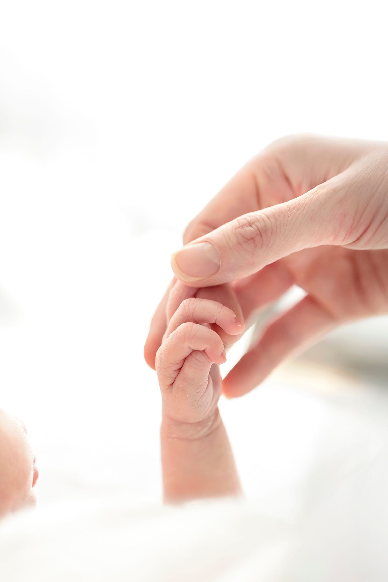 Parents holding newborn baby fingers during newborn photography session in Northern Iowa