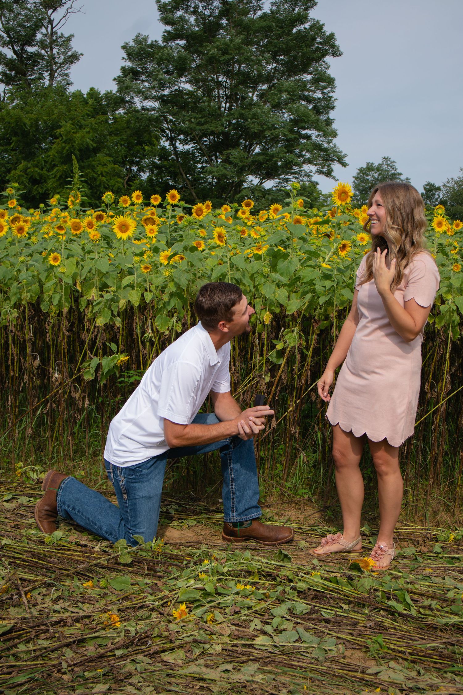 A couple poses playfully in a sunflower field during a romantic photo session with bright yellow flowers in the background.