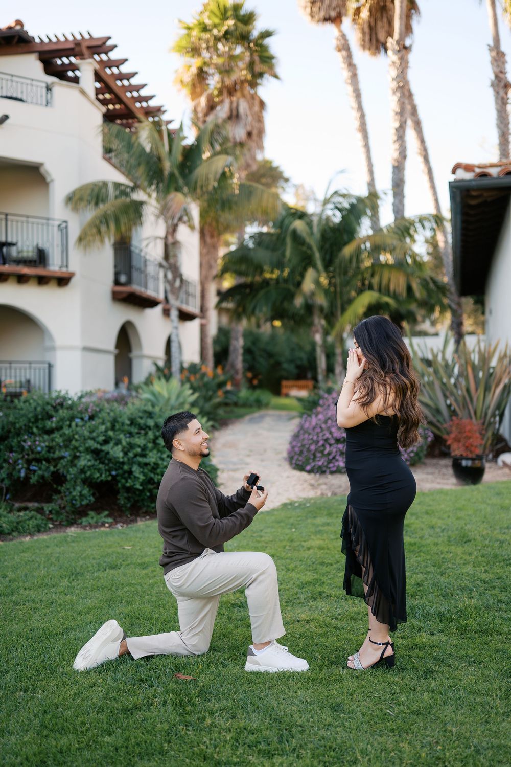 A romantic marriage proposal sequence captured at sunset on a grassy lawn with palm trees in the background.