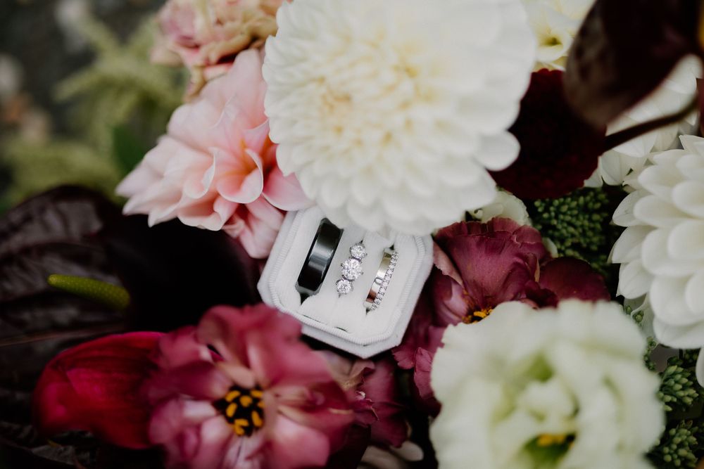 A collection of pink and white carnations with delicate petals arranged in a decorative display.