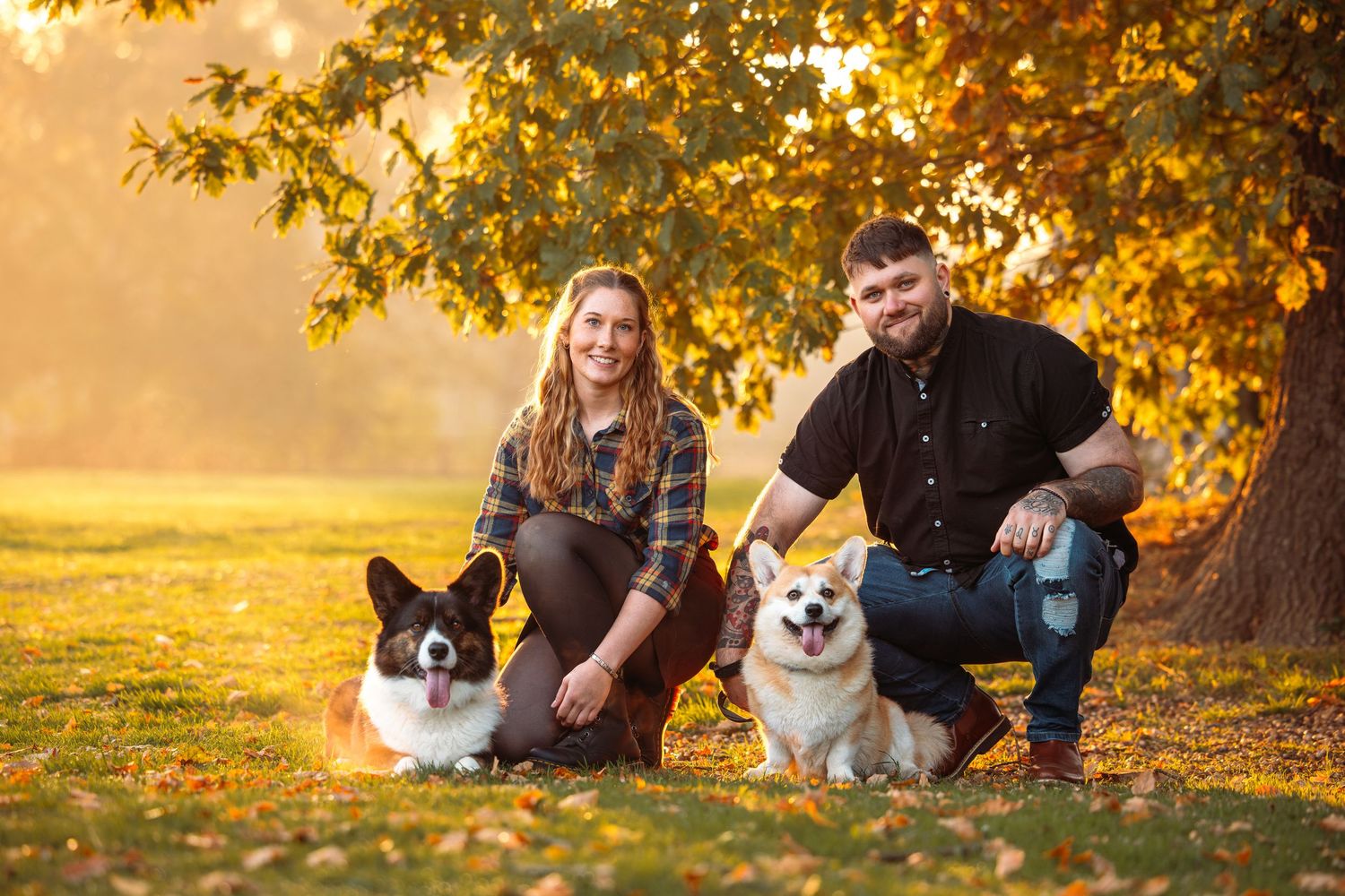Family with dogs sitting together under autumn trees at sunset.