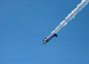 Chicago Air and Water Show 2025
