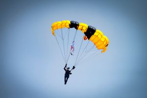 Chicago Air and Water Show 2025 Army Golden Knights