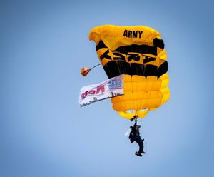 Chicago Air and Water Show 2025 Army Golden Knights