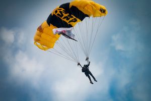 Chicago Air and Water Show 2025 Army Golden Knights