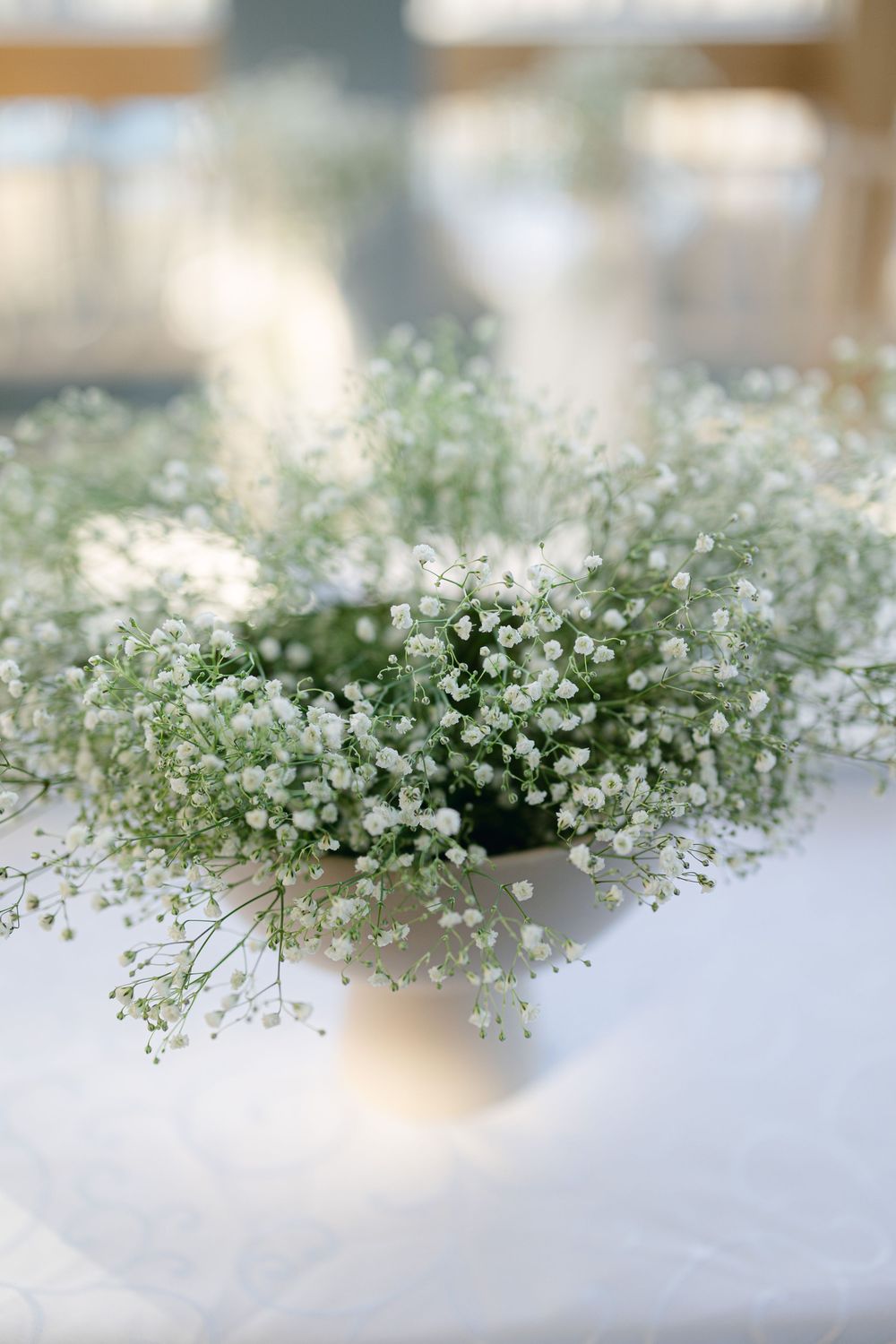 Delicate baby's breath flowers arranged on a white surface creating an ethereal border.