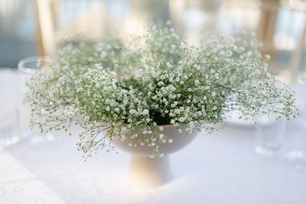 Delicate baby's breath flowers arranged in soft focus creating an ethereal wedding decoration backdrop.
