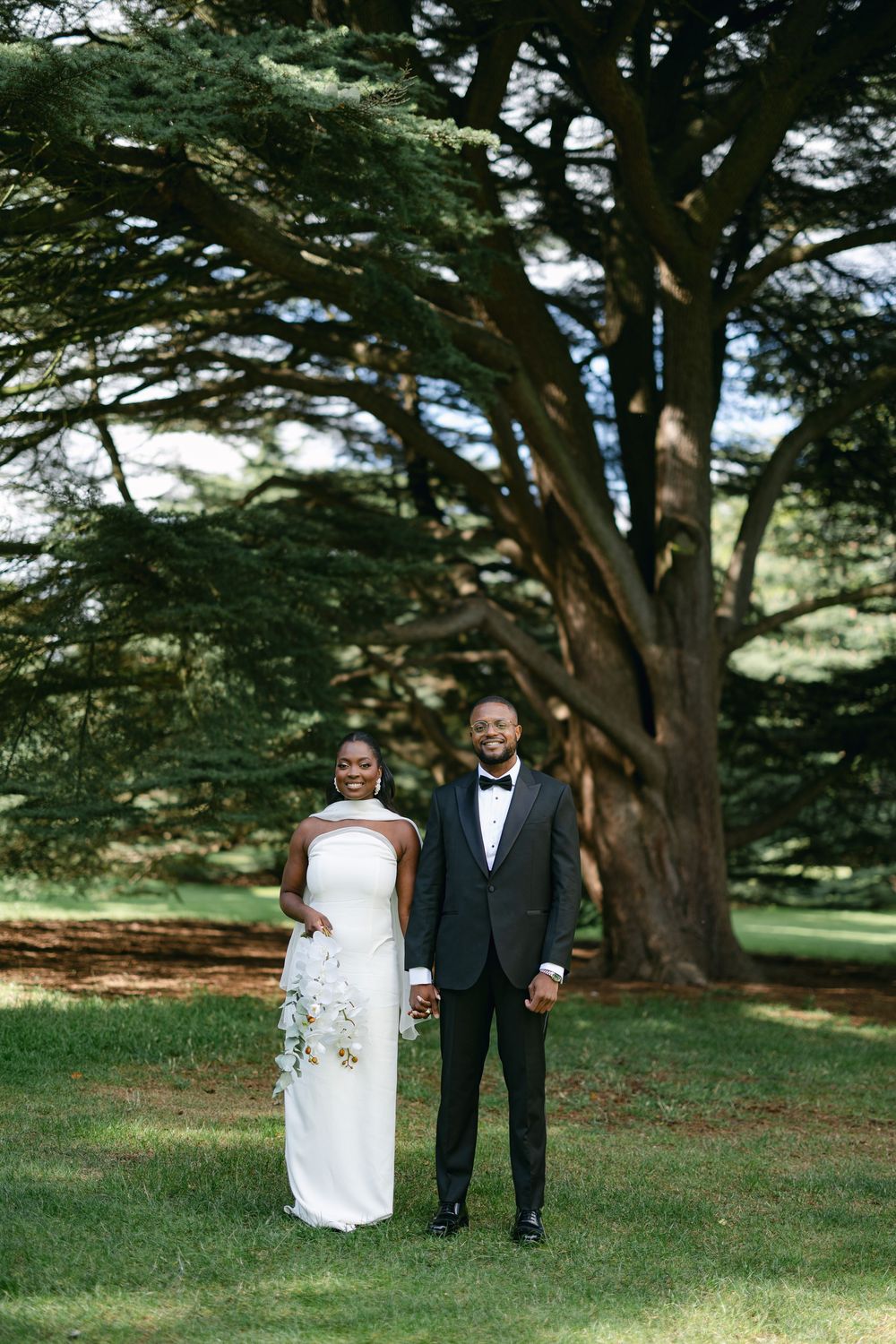 Wedding couple stands together on a lawn beneath majestic cedar trees.