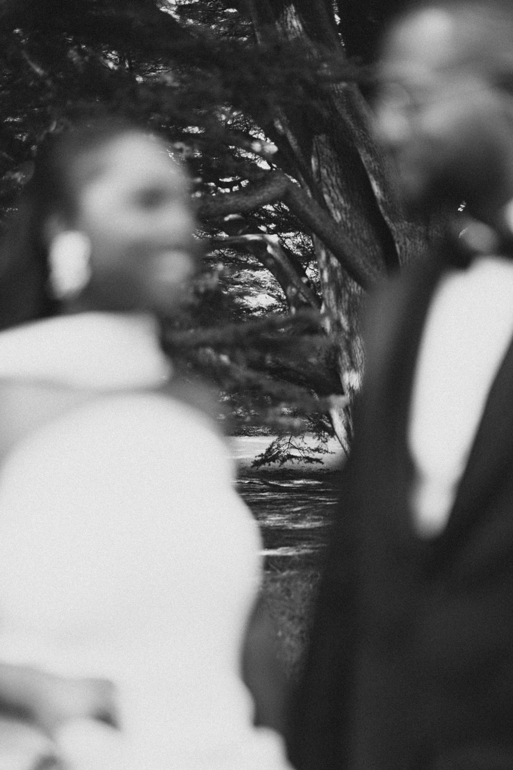 Artistic blurred black and white photo of a wedding party standing under trees.