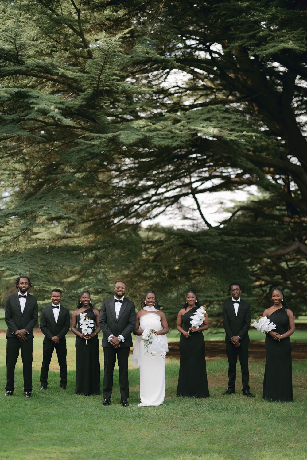 Wedding party in formal black and white attire poses together on a lawn beneath towering trees.