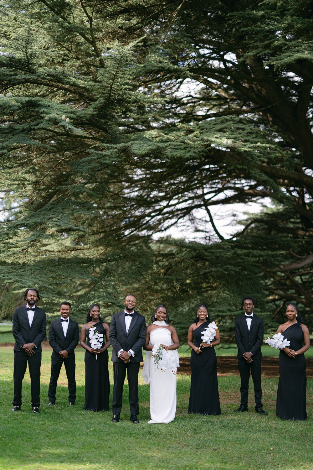 A wedding party in formal black attire poses elegantly on a lawn beneath large evergreen trees.