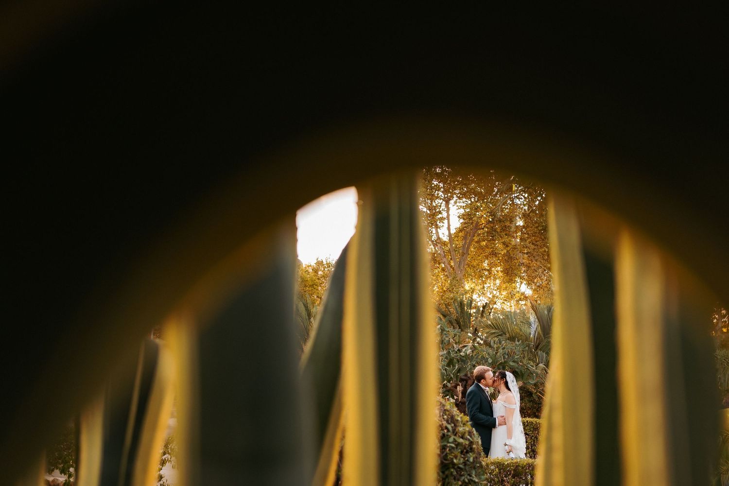 Artistic wedding photo framed through golden-lit foliage at sunset, creating a romantic silhouette effect.