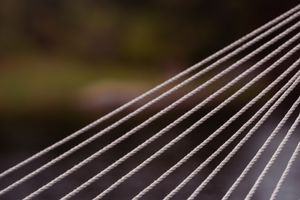 Abstract pattern of parallel diagonal lines in soft focus.