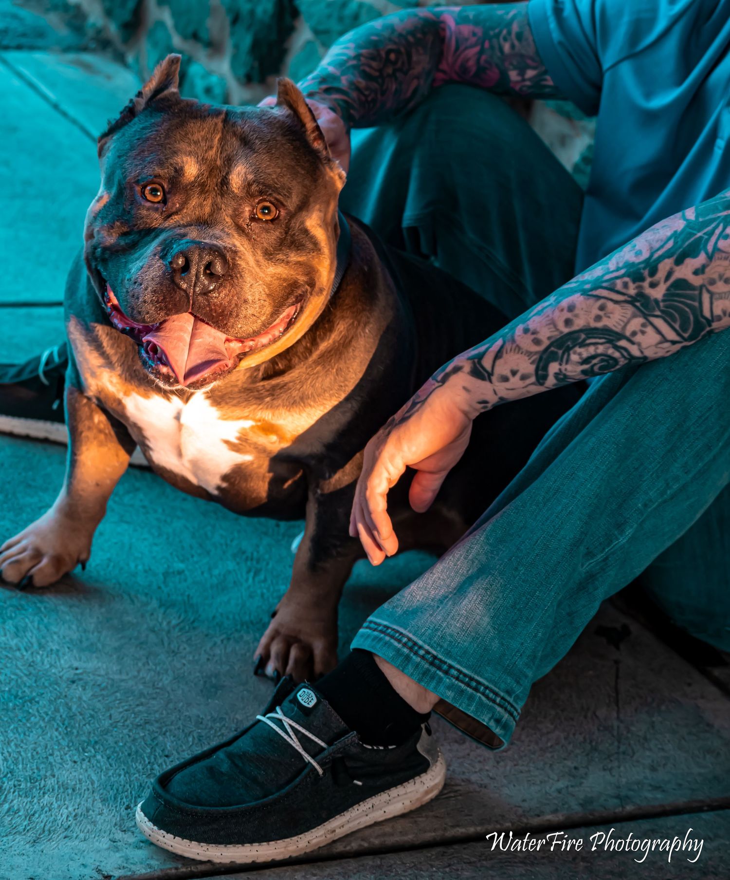 Smiling brown pit bull lying on turquoise couch next to tattooed arm and black sneaker in artistic lighting.