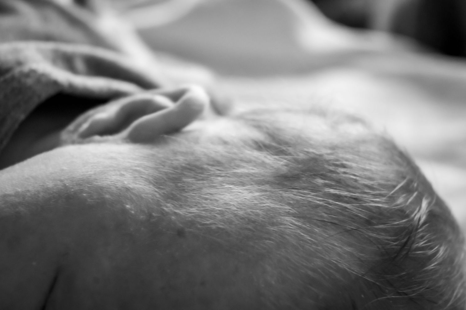 Close-up black and white photo of a newborn baby's head with fine hair, resting peacefully on a soft surface.