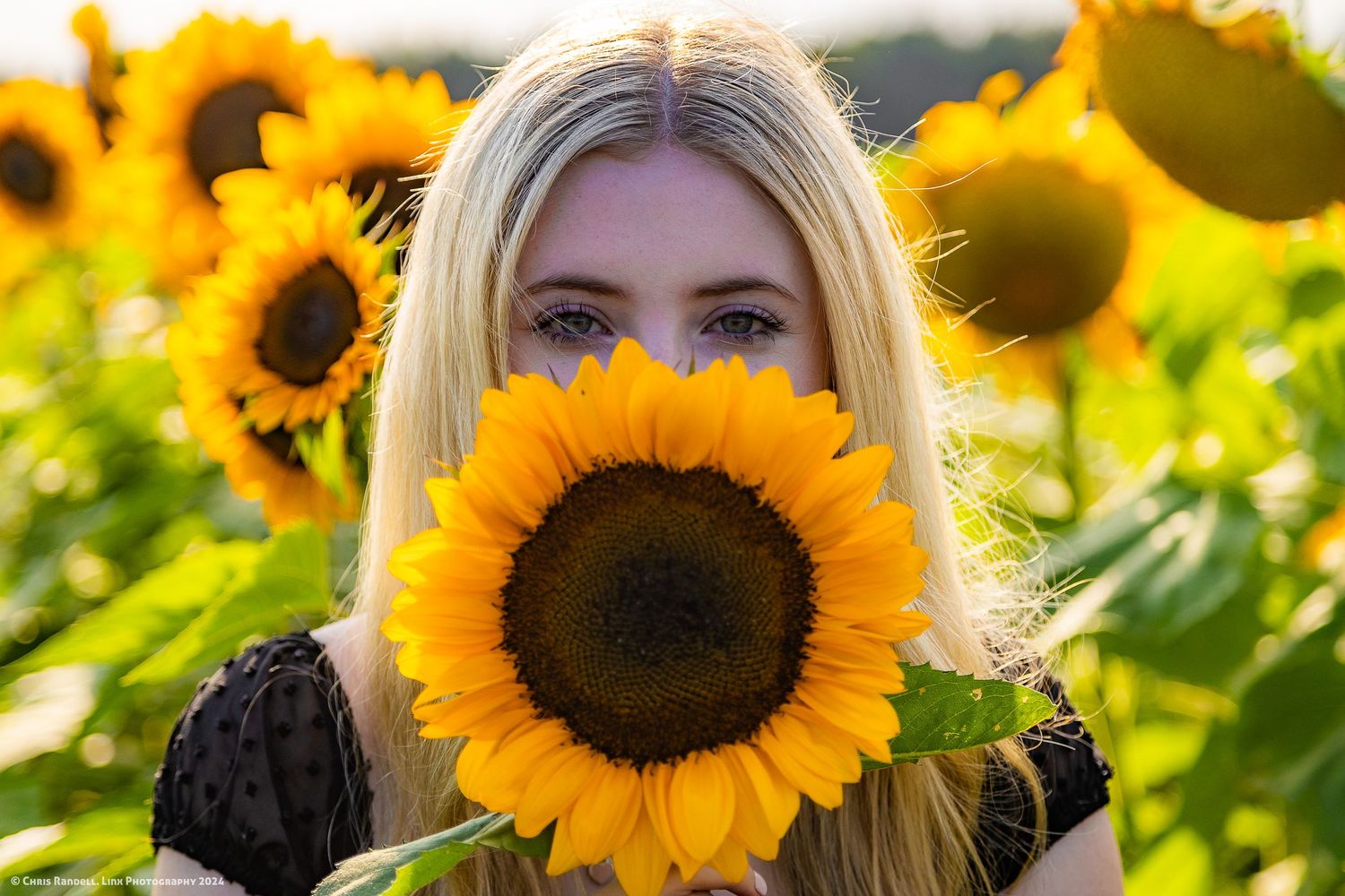Beautiful Individual Portrait of Young Model in Summer Sunflower Fields, Photo by Linx Photography, Barrie, Ontario