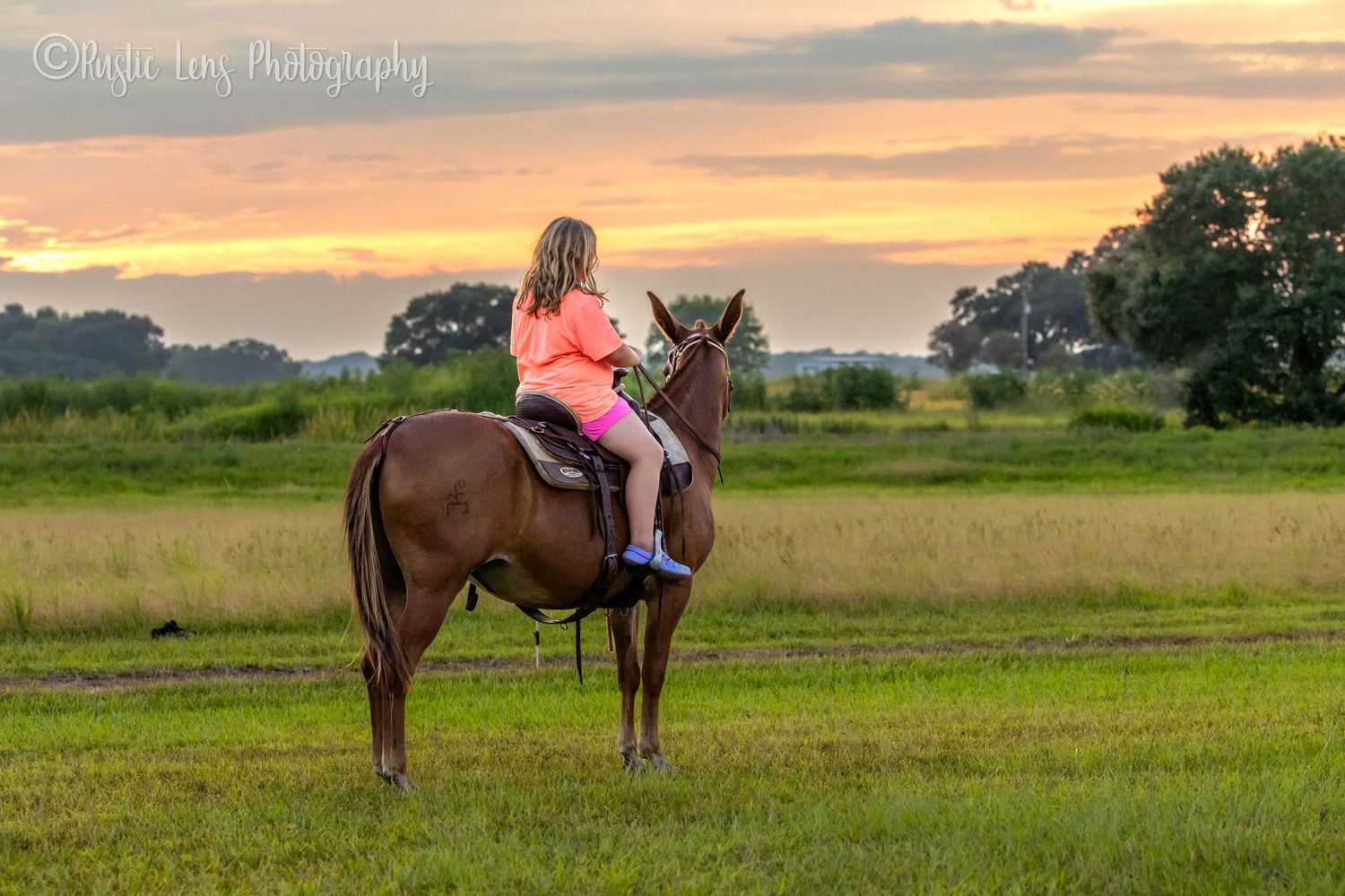 A series of sunset photos shows a horse and rider silhouetted against a colorful sky in an open field.