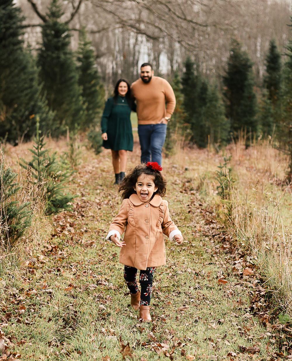 A family walks together through tall grass and evergreen trees during a fall photo session.