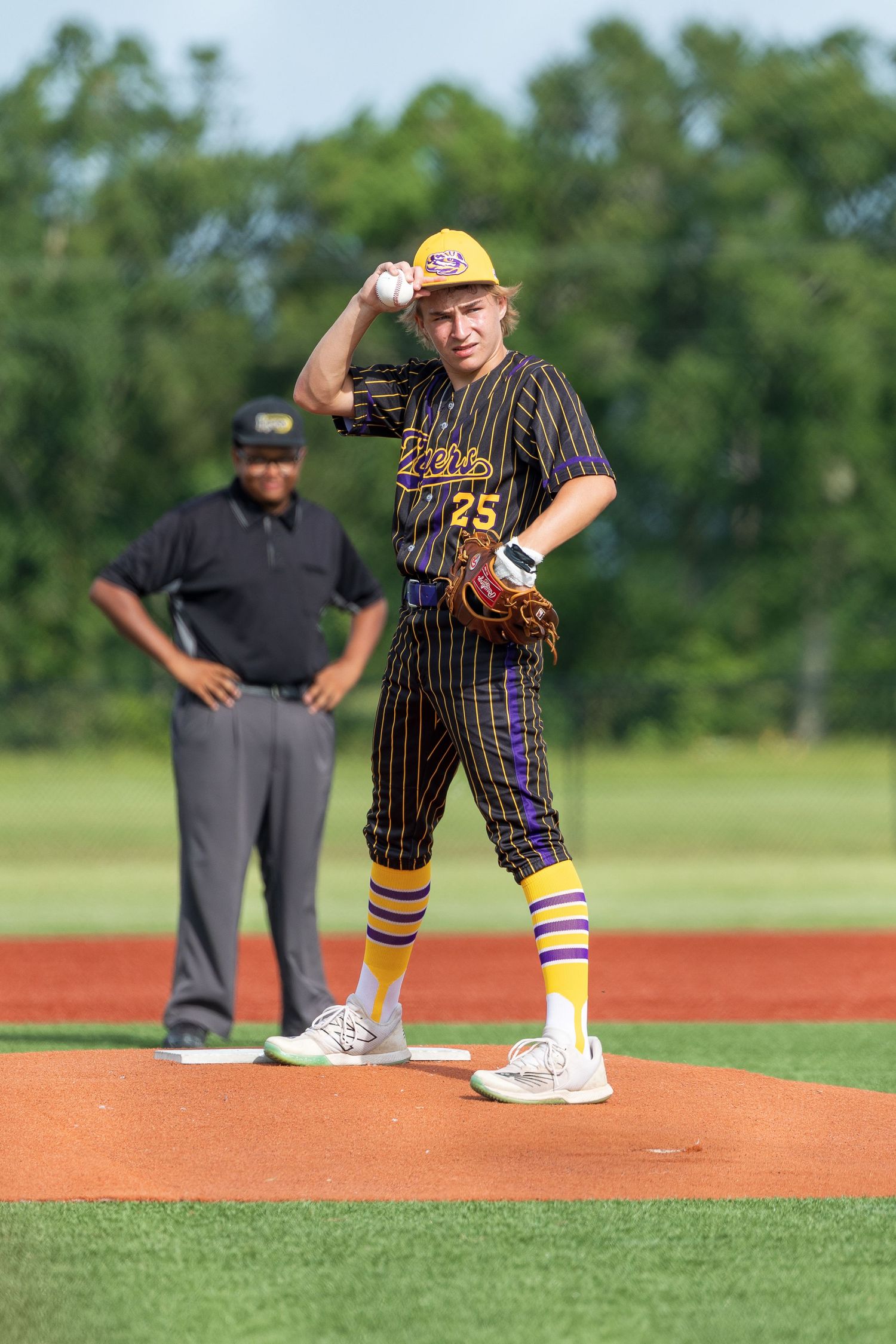 Baseball pitcher #25 in purple and gold pinstripe uniform winds up to throw on the mound with umpire behind.