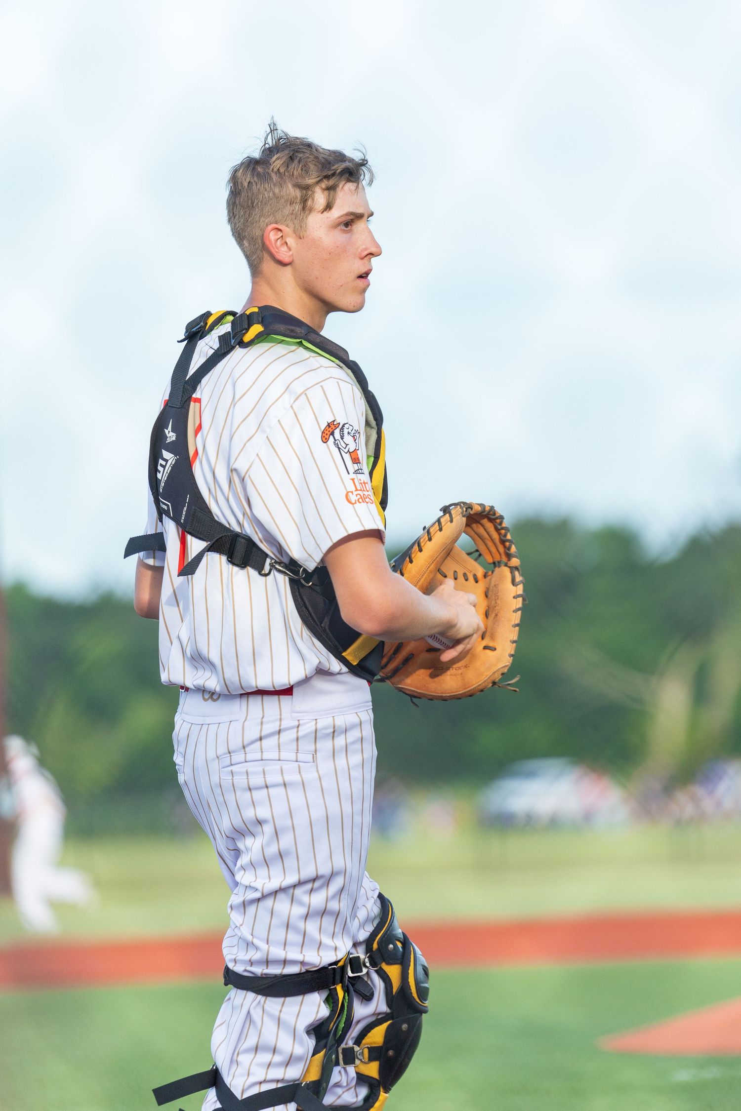 Young baseball catcher in pinstripe uniform holding mitt, wearing chest protector and gear on sunny field.