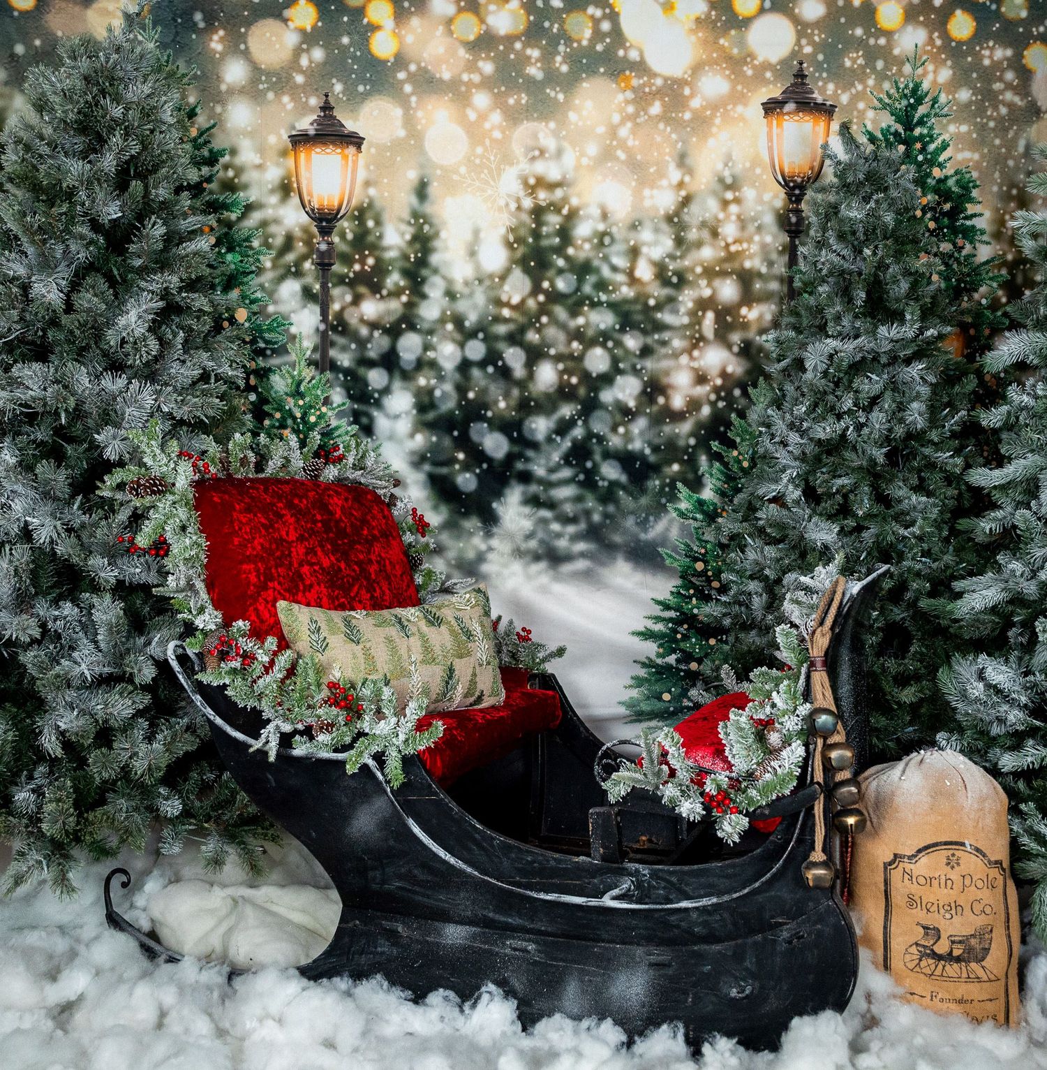 https://marykinzphotography.as.me/sleigh