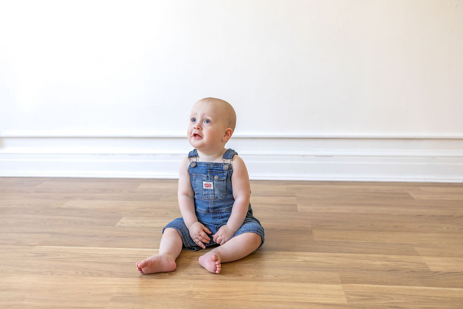 Springfield Il photographer captures a first birthday milestone session in Central, IL