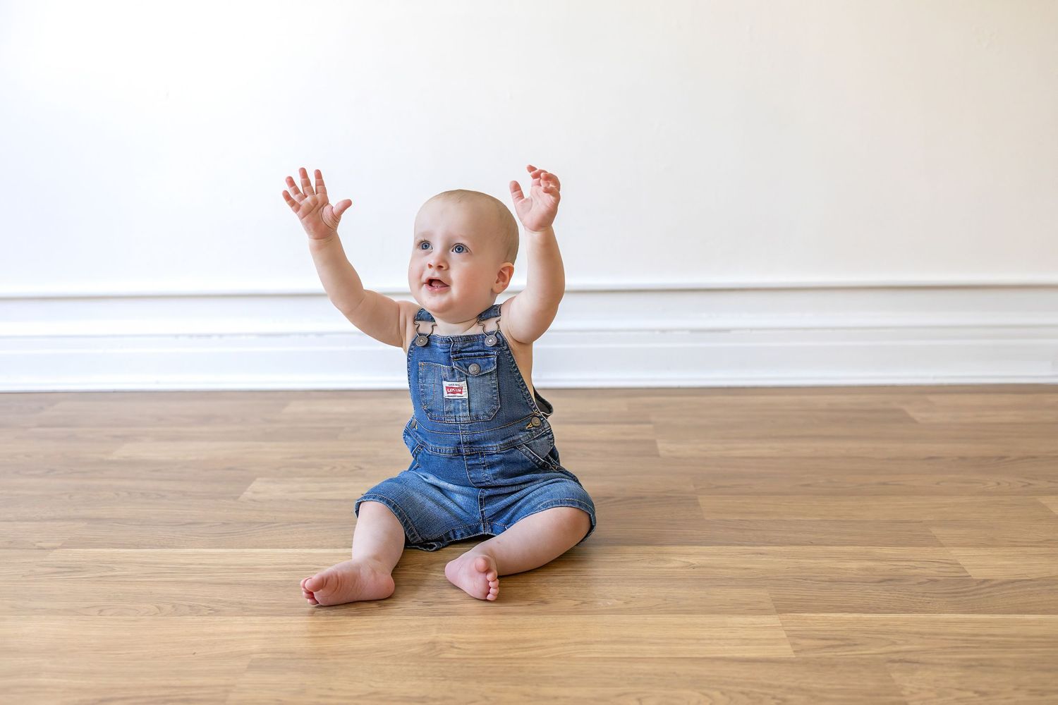 Springfield Il photographer captures a first birthday milestone session in Central, IL