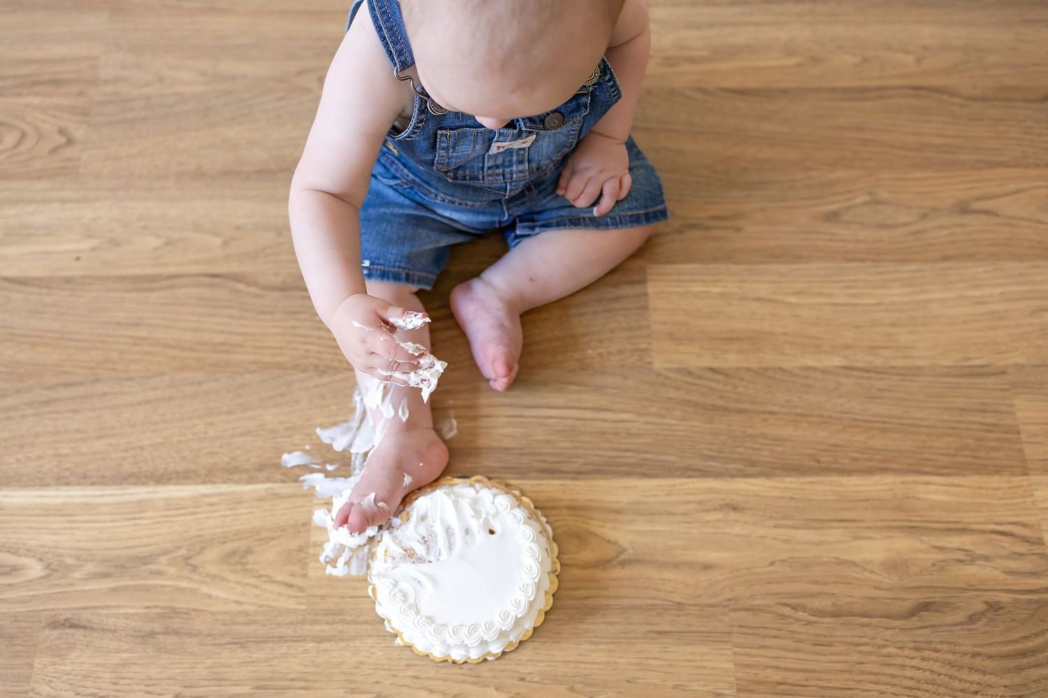 Springfield Il photographer captures a first birthday milestone session in Central, IL