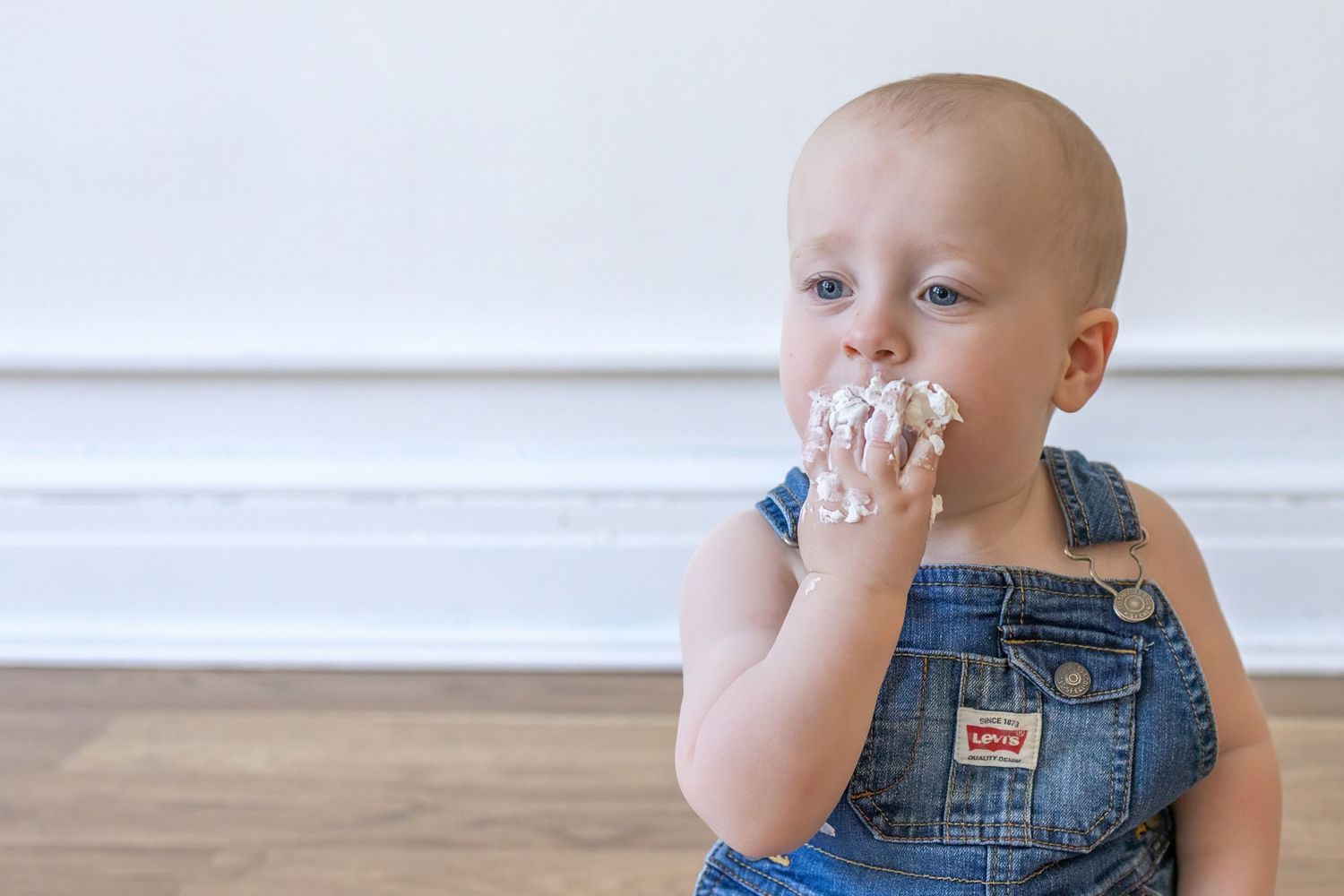 Springfield Il photographer captures a first birthday milestone session in Central, IL