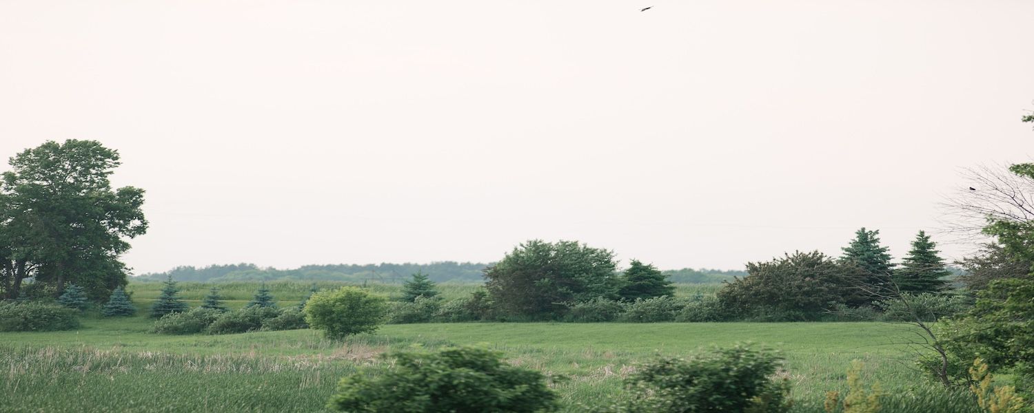 Minnesota intimate wedding photographer