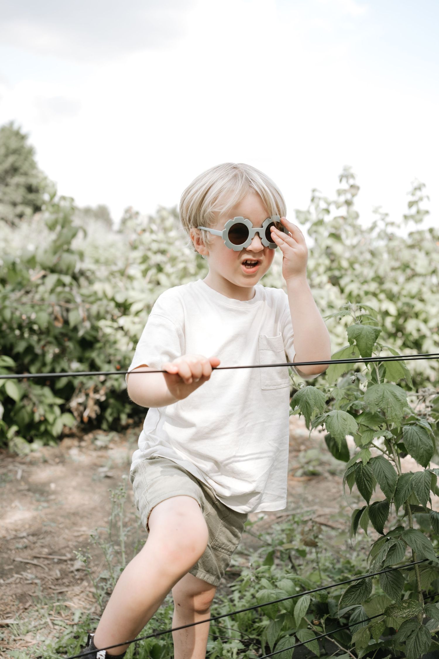A natural image of a boy fruit picking in Surrey