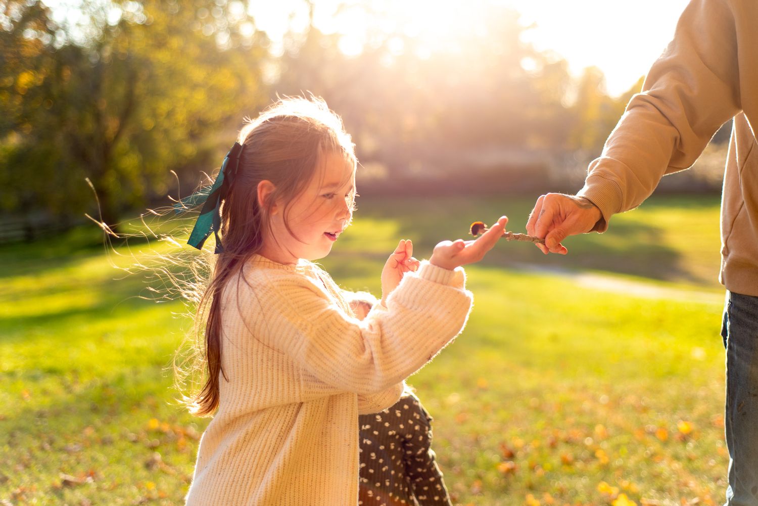 A person in a cream sweater reaching up for a dandelion against golden sunlit foliage in a park setting.