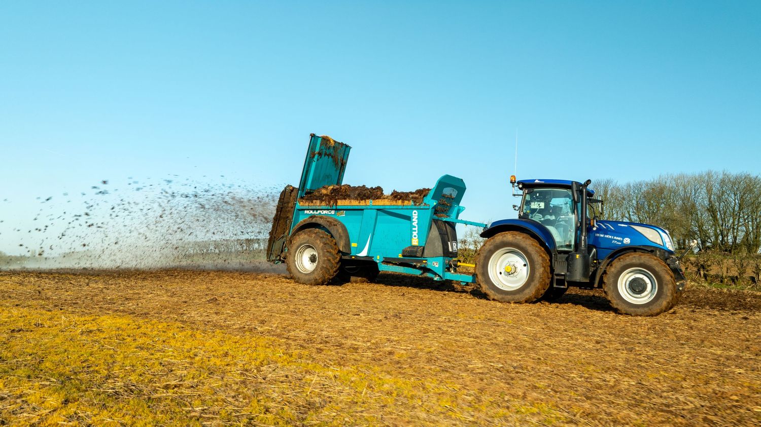 Blue tractor spreads manure across a brown field against bright blue sky on a sunny day.
