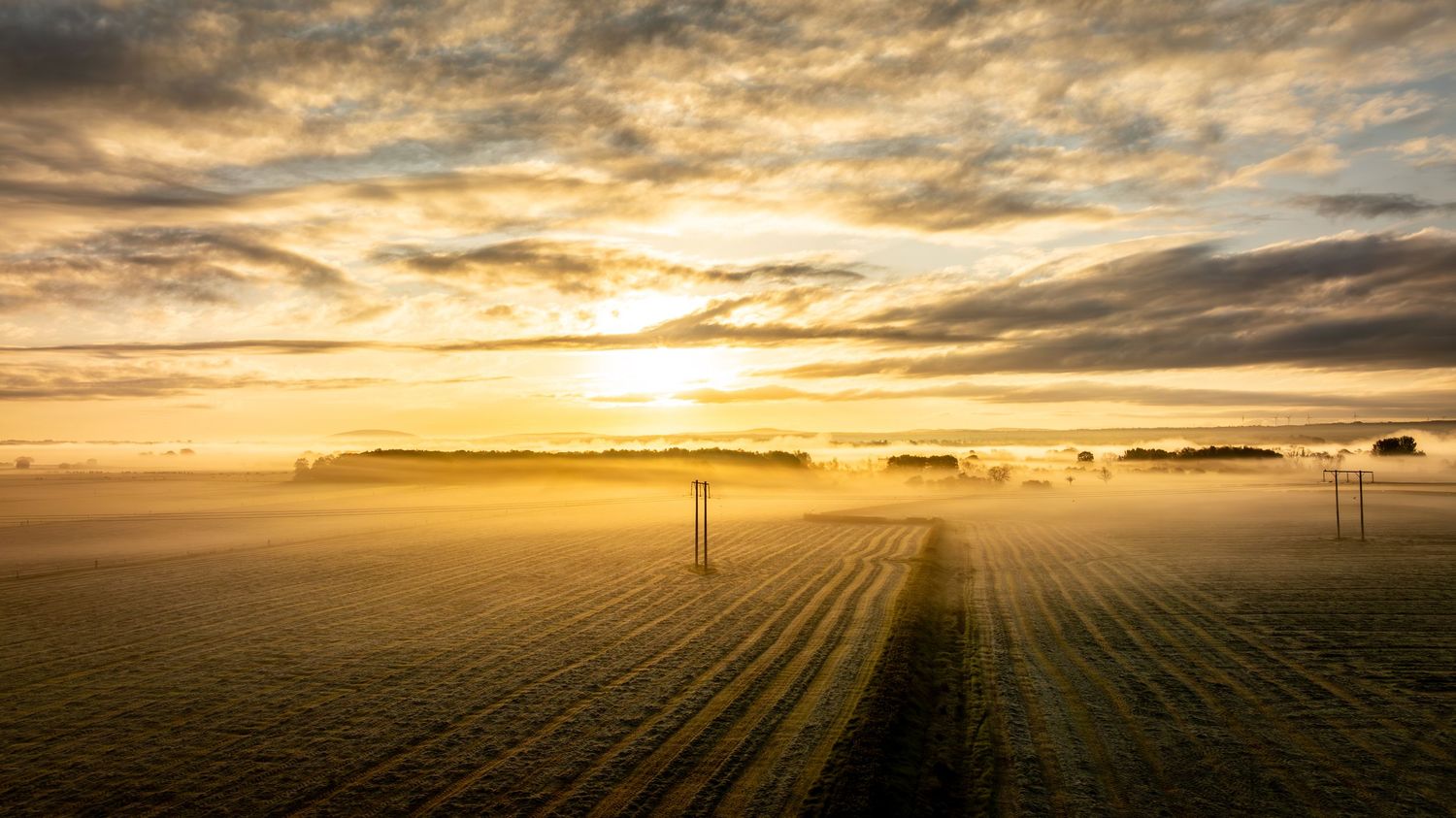 Aerial view of misty agricultural field at sunrise with power lines stretching across golden morning landscape.