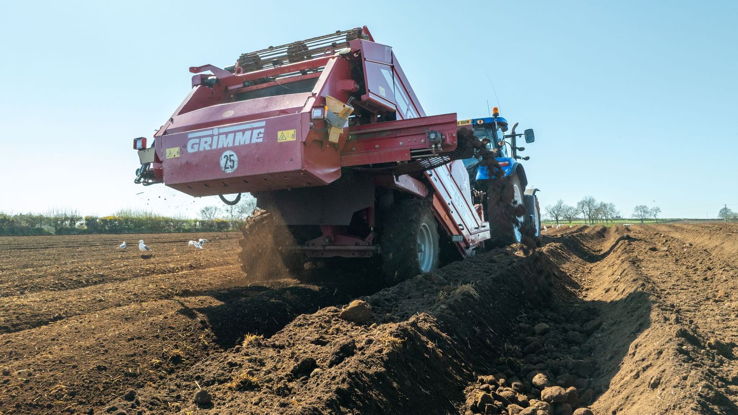 Agricultural machinery spreads manure across a plowed field during soil preparation on a sunny day.