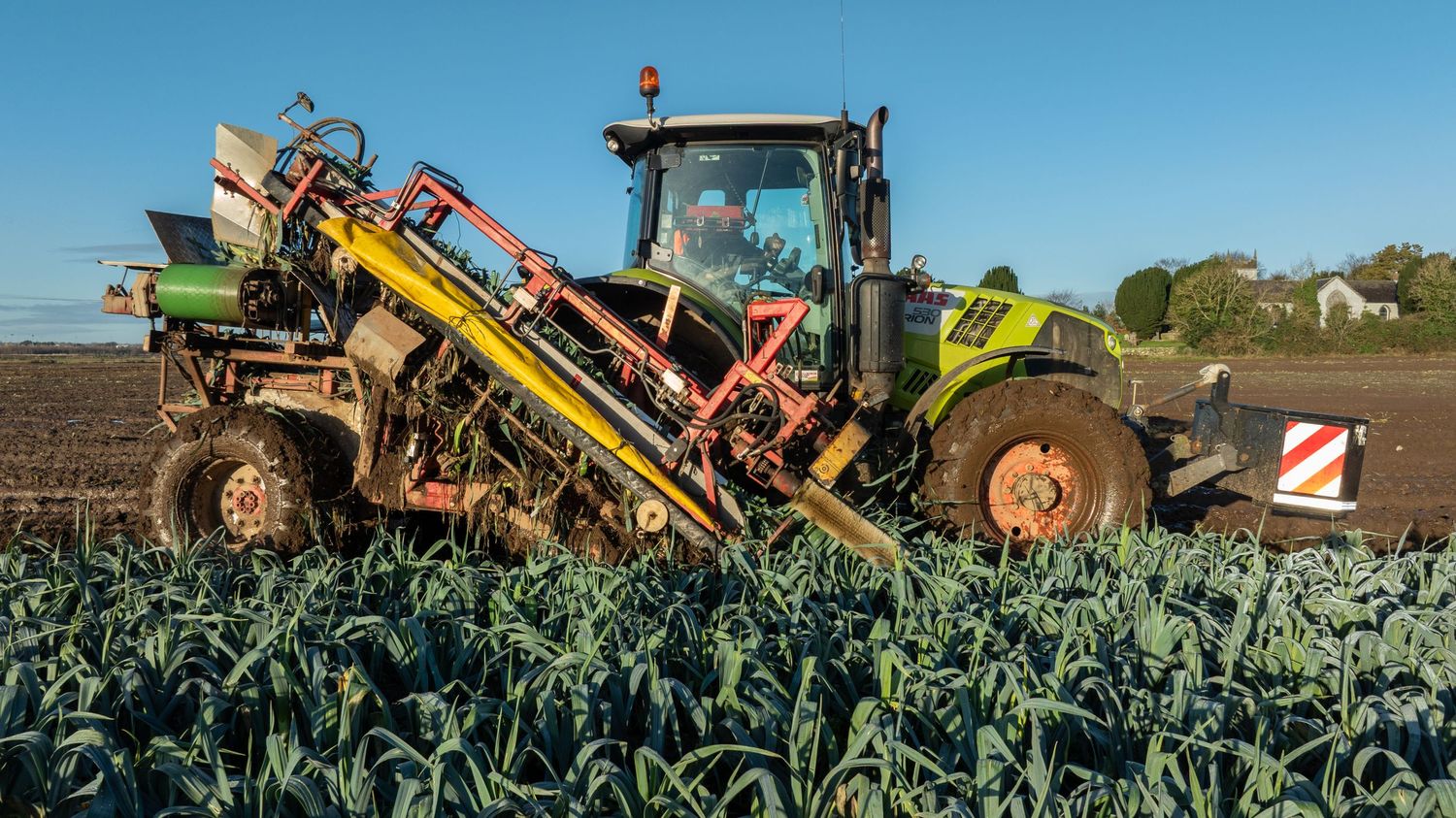 Green tractor with harvesting equipment operates in a field of leafy crops under blue sky.