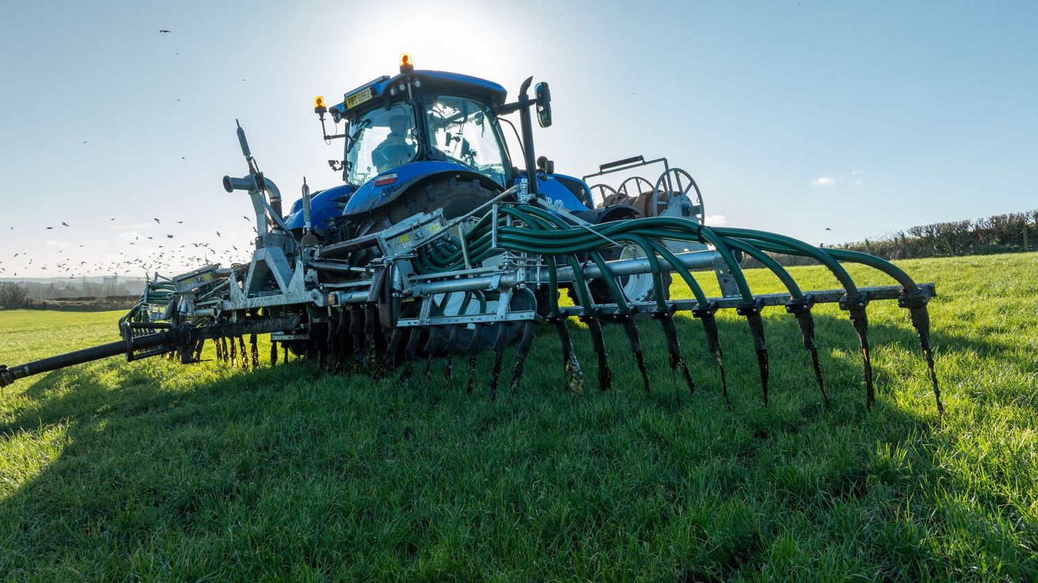 A blue tractor with agricultural equipment operates in a green field during cultivation work at sunrise.