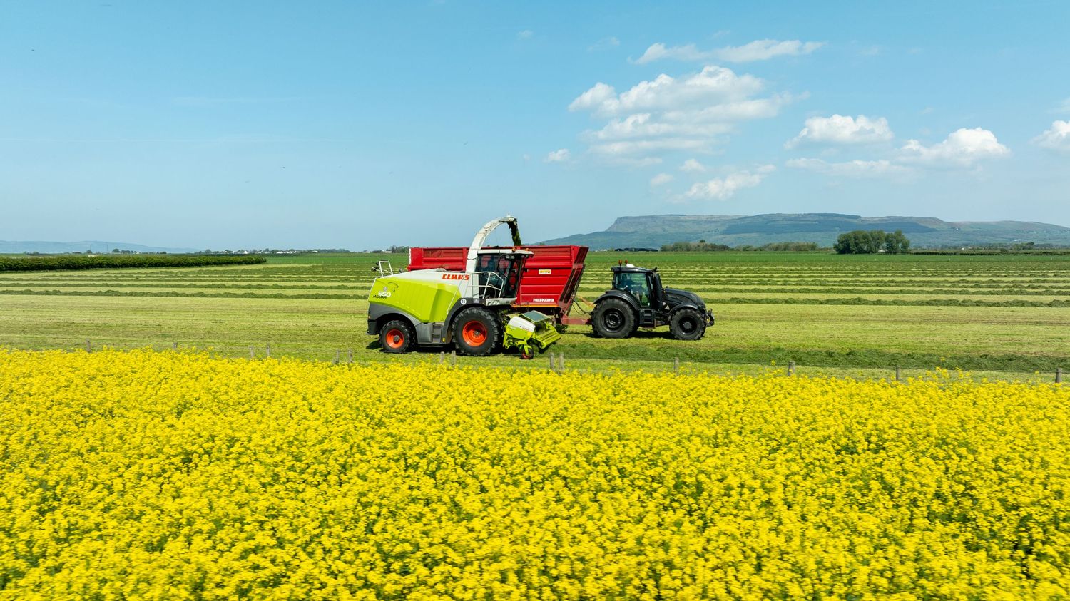 Farm machinery harvests crops in a vast yellow canola field under blue sky with white clouds.
